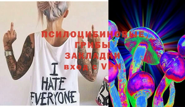 гашик Баксан