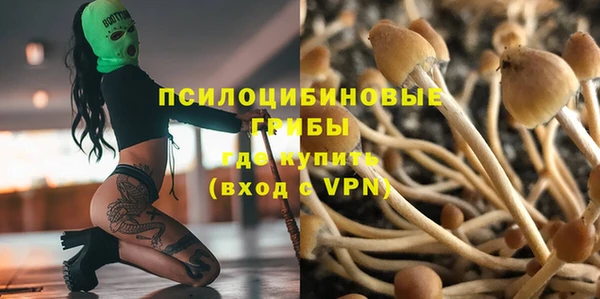 мет Аркадак