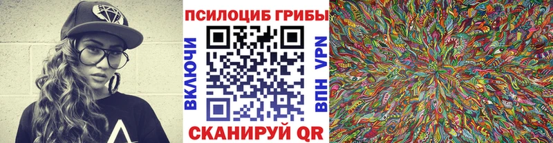 Псилоцибиновые грибы Psilocybe  Змеиногорск 